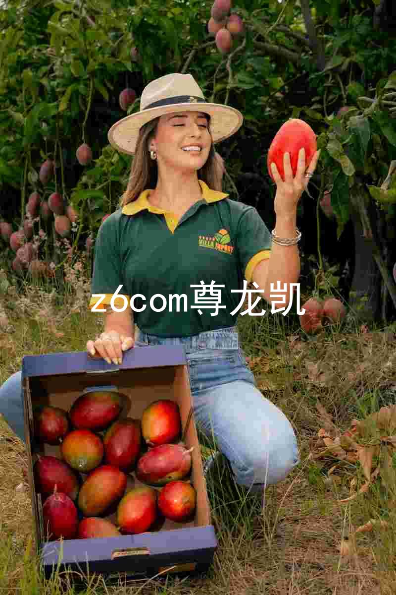 z6com尊龙凯