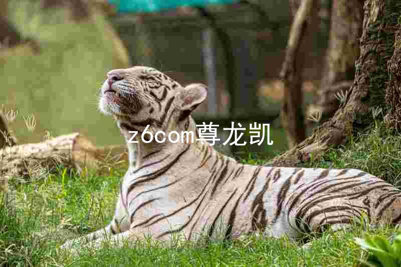 z6com尊龙凯