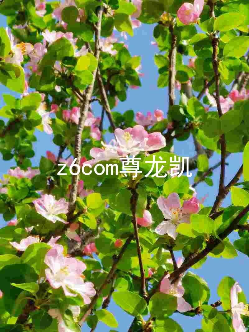 z6com尊龙凯