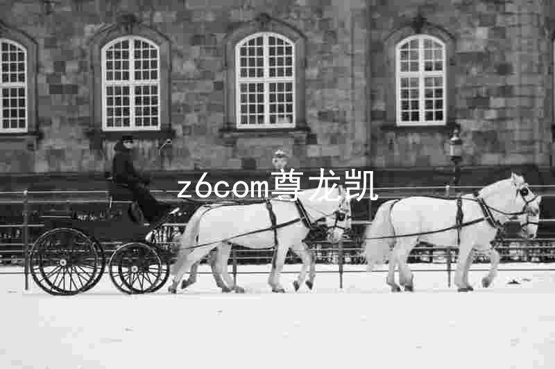 z6com尊龙凯