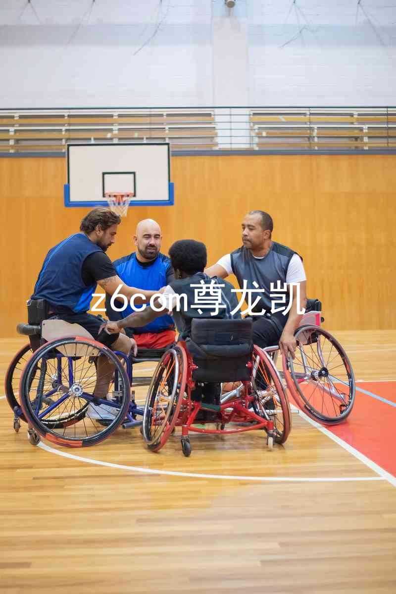 z6com尊龙凯