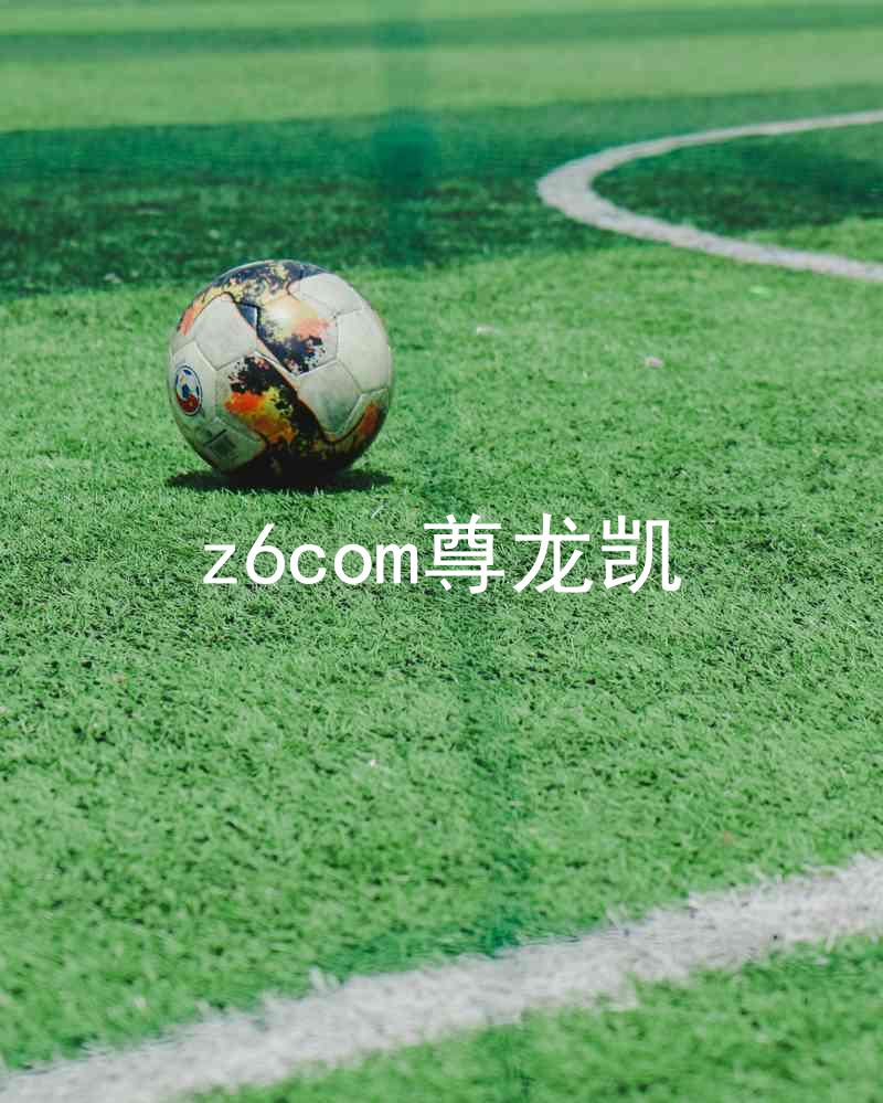 z6com尊龙凯
