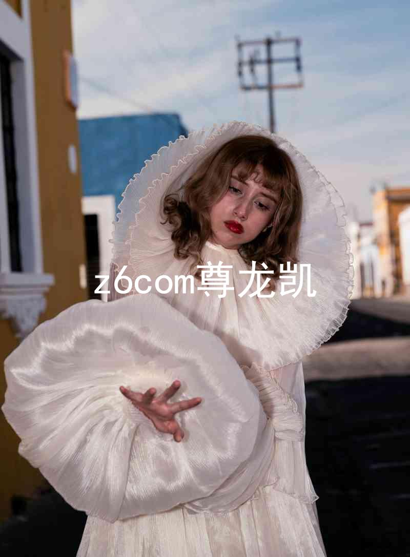 z6com尊龙凯