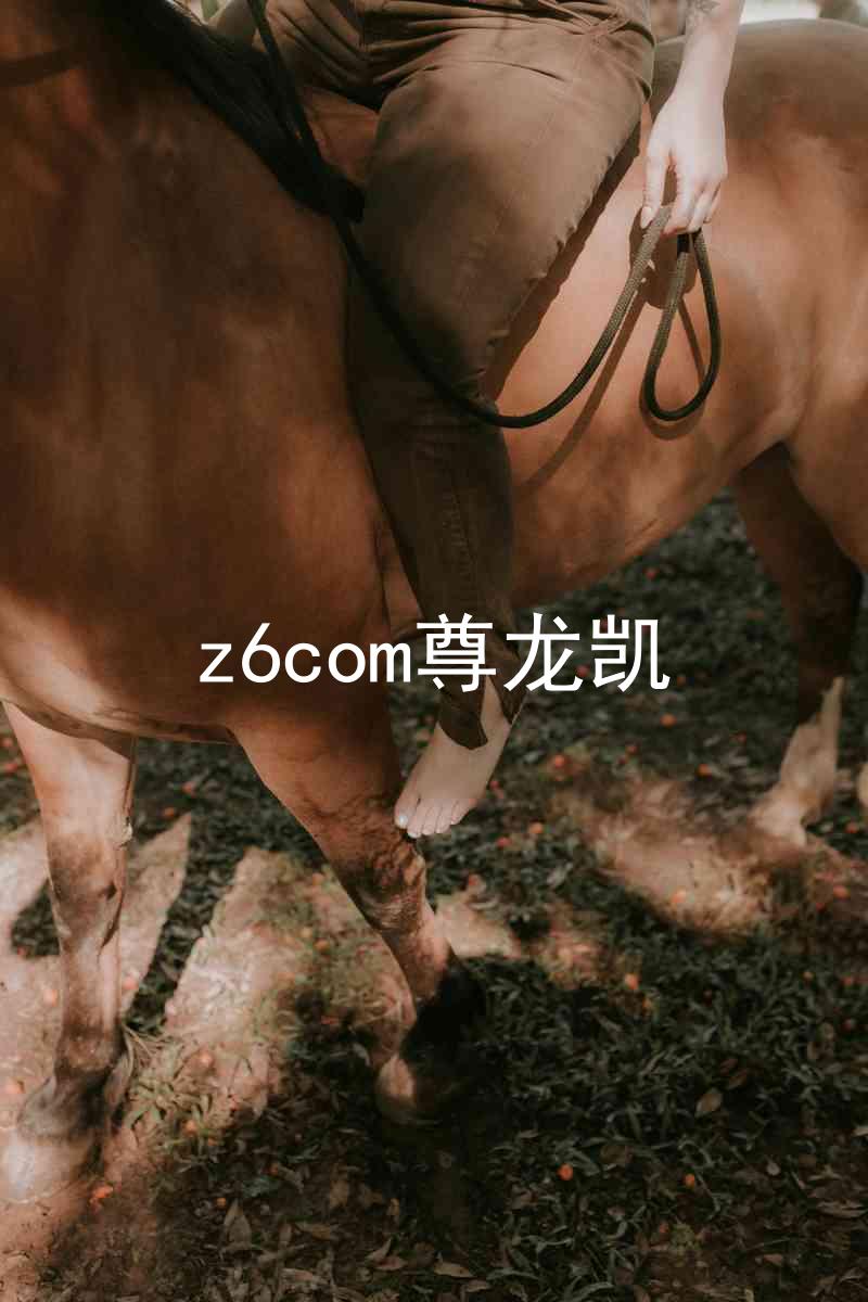 z6com尊龙凯