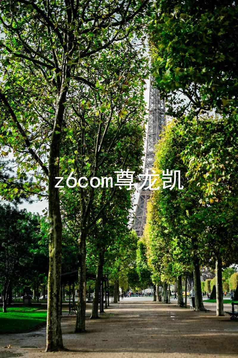 z6com尊龙凯